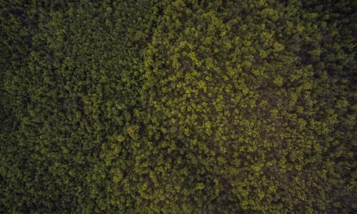 Explicabo dolore dolores animi impedit atque odit